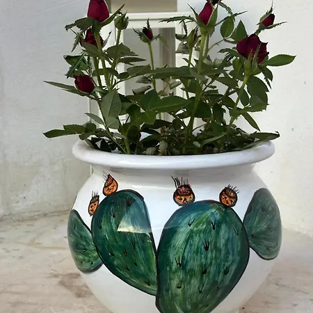 Apa Sicula Avola